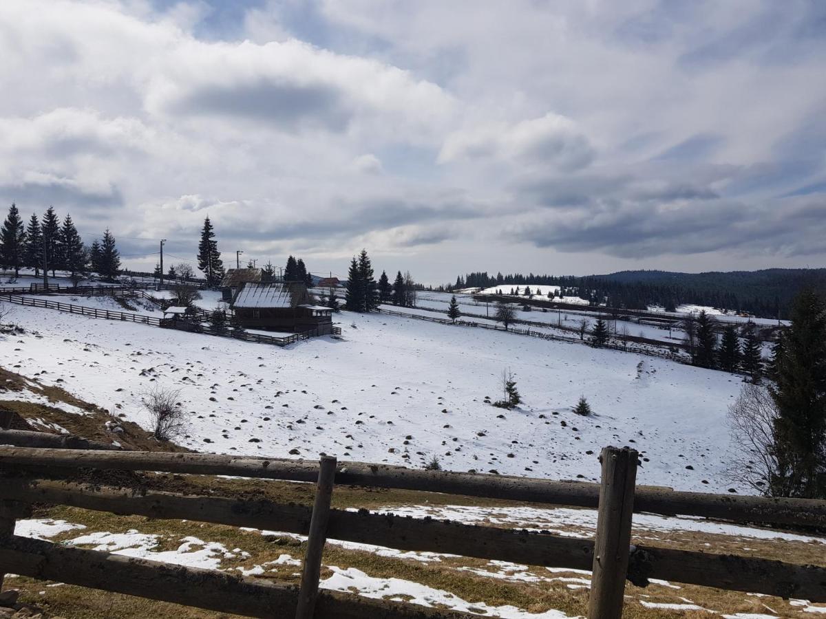 Casuta De Vacanta Marisel, Cluj Exteriör bild