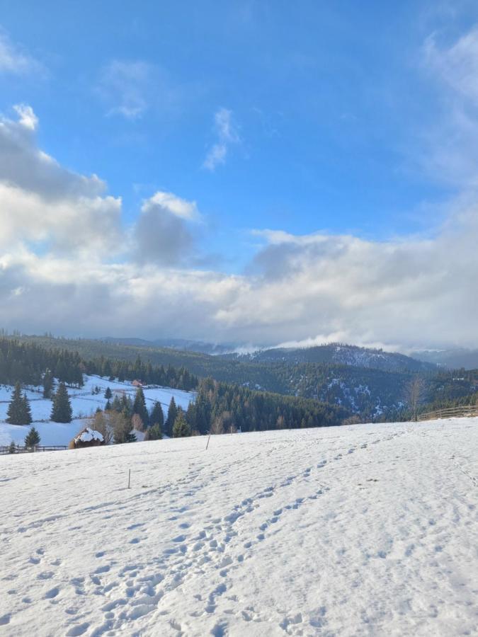 Casuta De Vacanta Marisel, Cluj Exteriör bild