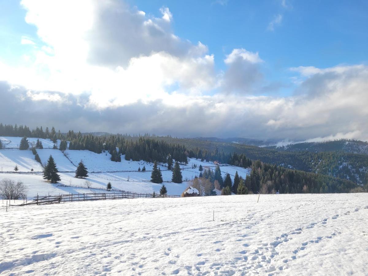 Casuta De Vacanta Marisel, Cluj Exteriör bild