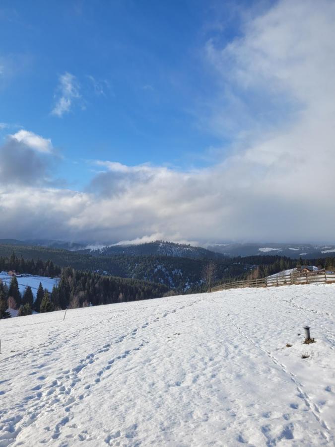 Casuta De Vacanta Marisel, Cluj Exteriör bild