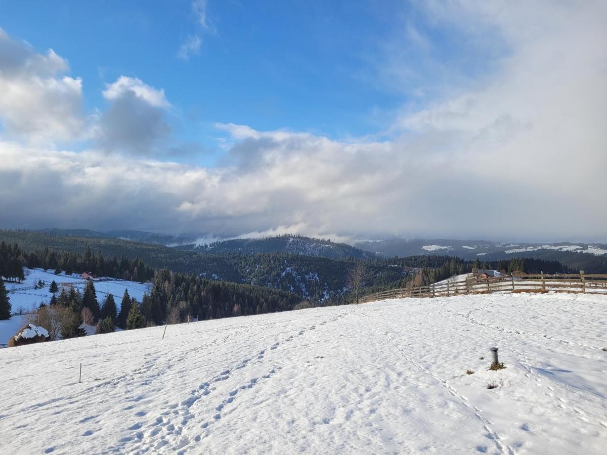 Casuta De Vacanta Marisel, Cluj Exteriör bild